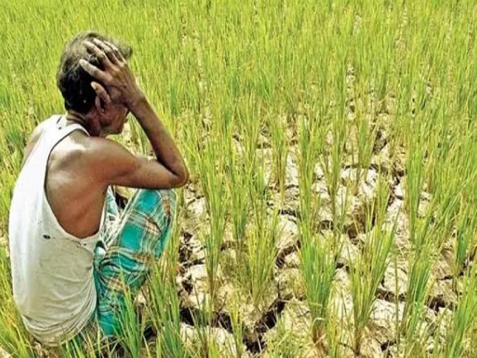 Farmers' money stuck in the coffers, e-KYC withheld aid worth Rs 355 crore | शेतकऱ्यांचा पैसा तिजोरीत पडून, ई-केवायसीने रोखली ३५५ कोटींची मदत