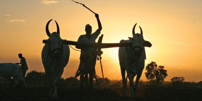 Buldana: 6.34 lakh farmers exempted from land revenue | बुलडाणा: ६.३४ लाख शेतकऱ्यांना जमीन महसूलात सुट