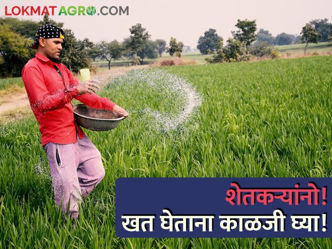 Latest News Check while buying fertilizer, appeal to farmers | शेतकऱ्यांनो! खत घेताना काळजी घ्या, खतांमध्ये वाळू सदृश्य खडे आढळले! Latest News Check while buying fertilizer, appeal to farmers | शेतकऱ्यांनो! खत घेताना काळजी घ्या, खतांमध्ये वाळू सदृश्य खडे आढळले!
