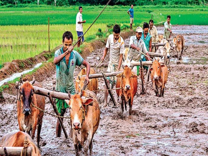 Special Editorial on Agriculture and farmers - both expelled from this time Maharashtra assembly elections | शेती आणि शेतकरी - यंदाच्या महाराष्ट्र विधानसभा निवडणुकीतून दोघेही हद्दपार! Special Editorial on Agriculture and farmers - both expelled from this time Maharashtra assembly elections | शेती आणि शेतकरी - यंदाच्या महाराष्ट्र विधानसभा निवडणुकीतून दोघेही हद्दपार!