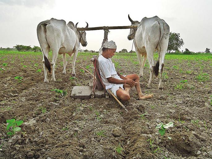 One-year moratorium on farmer loan recovery; State government provides relief to farmers affected by heavy rains | शेतकरी कर्जवसुलीस एक वर्षाची स्थगिती; अतिवृष्टीग्रस्त शेतकऱ्यांना राज्य सरकारचा दिलासा