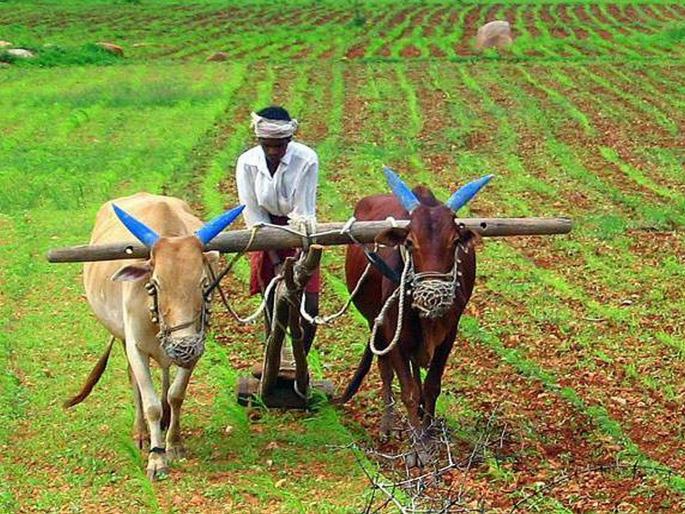 Decrease in number of beneficiaries in PM's Kisan Yojana | PM Kisan Yojana : पंतप्रधान किसान योजनेत लाभार्थ्यांच्या संख्येत घट