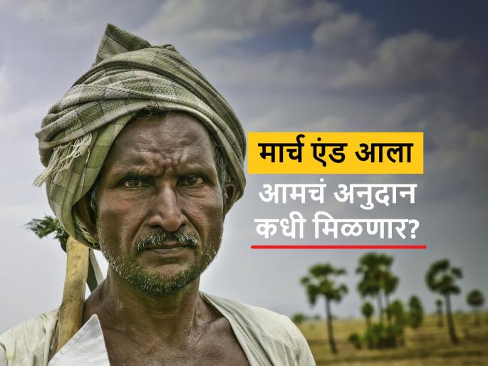 Latest News Farmers who benefited from agricultural scheme have no subsidy even after a yearin a week, but the farmers did not get the subsidy money! | Farmer Subsidy : आठवड्यात कृषीचे 50 जीआर निघाले, पण शेतकऱ्यांना अनुदानाचे पैसे नाही मिळाले! Latest News Farmers who benefited from agricultural scheme have no subsidy even after a yearin a week, but the farmers did not get the subsidy money! | Farmer Subsidy : आठवड्यात कृषीचे 50 जीआर निघाले, पण शेतकऱ्यांना अनुदानाचे पैसे नाही मिळाले!