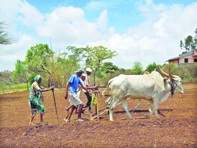 Latest News Farmers in 104 Revenue Circles of Nashik District Deprived of Subsidy | अवकाळीने शेतीचे नुकसान, शेतकऱ्यांना अनुदानाची प्रतीक्षा Latest News Farmers in 104 Revenue Circles of Nashik District Deprived of Subsidy | अवकाळीने शेतीचे नुकसान, शेतकऱ्यांना अनुदानाची प्रतीक्षा