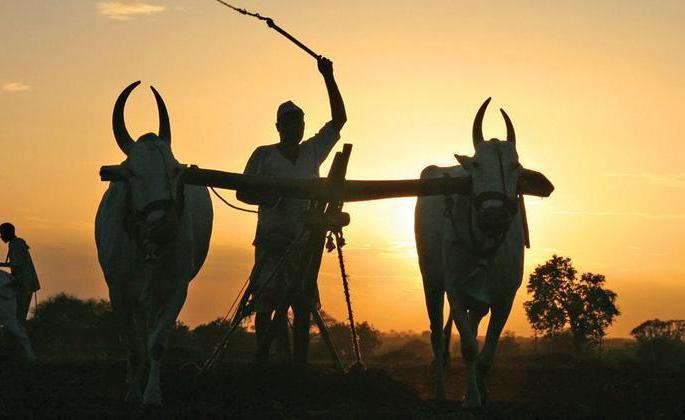 Rs 430 crore loan waiver in Beed district | बीड जिल्ह्यात ४३० कोटींची कर्जमाफी