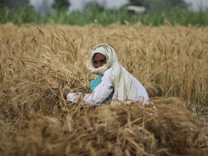 The administration is also desperate: 197 crores of funds of farmers affected by heavy rains have fallen | प्रशासनही हतबल : अतिवृष्टीग्रस्त शेतकऱ्यांचा १९७ कोटींचा निधी पडून