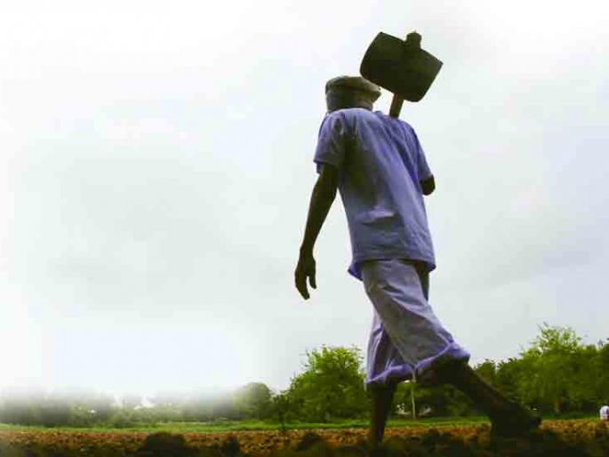 In most crop insurance, Marathwada, however, the proportion of loss is less | सर्वाधिक पीक विमा मराठवाड्यात नुकसानभरपाईचे प्रमाण मात्र कमी In most crop insurance, Marathwada, however, the proportion of loss is less | सर्वाधिक पीक विमा मराठवाड्यात नुकसानभरपाईचे प्रमाण मात्र कमी