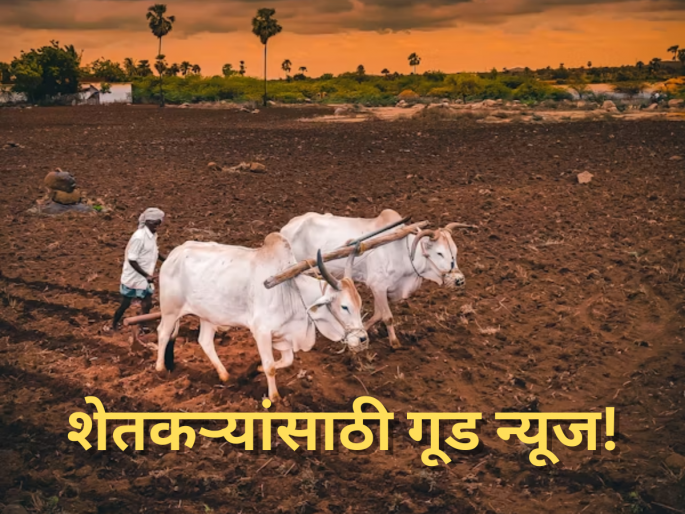 Double Relief for Farmers: Wildlife Damage and Excessive Rain Included Under Crop Insurance Scheme | Farmers Relief: मुसळधार पाऊस किंवा वन्य प्राण्यांनी पीक तुडवले, नुकसान भरपाई मिळणार,  पण एक अट!