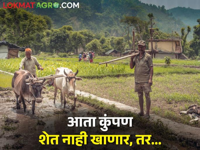 Latest News Solution to dispute over agricultural dam see details | आता कुंपण शेत नाही खाणार, तर पैसे मिळवून देणार, पण कसे? Latest News Solution to dispute over agricultural dam see details | आता कुंपण शेत नाही खाणार, तर पैसे मिळवून देणार, पण कसे?