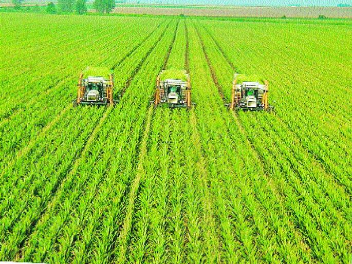 Apart from the universal agricultural revolution, remedies for agricultural crises are impossible | सर्वंकष कृषी क्रांतीखेरीज शेती अरिष्टावर उपाय अशक्य