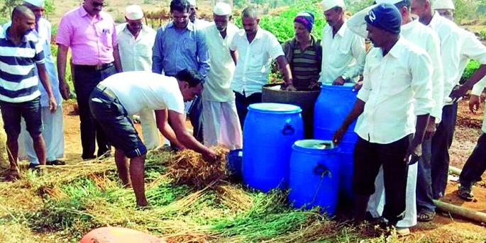Organic farming involves 2300 acres from 46 groups | ४६ गटांकडून होतेय २३०० एकरमध्ये सेंद्रिय शेती