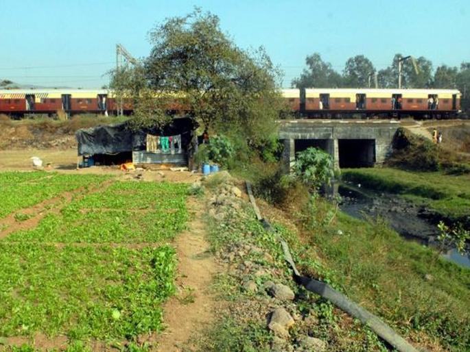 Notice of strict action against the cultivators on the sewage | सांडपाण्यावर भाजीपाला पिकविणाऱ्यांवर कठोर कारवाईच्या सूचना Notice of strict action against the cultivators on the sewage | सांडपाण्यावर भाजीपाला पिकविणाऱ्यांवर कठोर कारवाईच्या सूचना