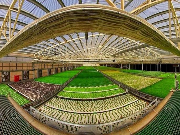 My Agriculture Scheme : Foreign Studies Tour | माझी कृषि योजना : परदेश अभ्यास दौरा My Agriculture Scheme : Foreign Studies Tour | माझी कृषि योजना : परदेश अभ्यास दौरा