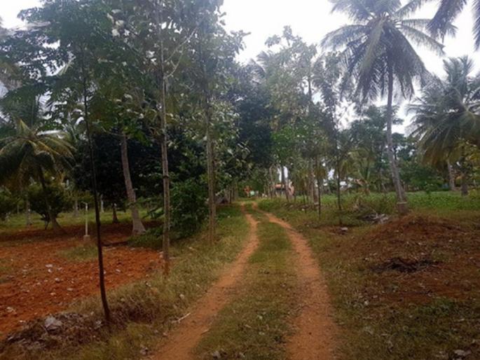 Buldana district received Rs. 1.75 crore for Farmlands roads | पाणंद रस्त्यांसाठी बुलडाणा जिल्ह्याला मिळाला पावणे दोन कोटींचा निधी