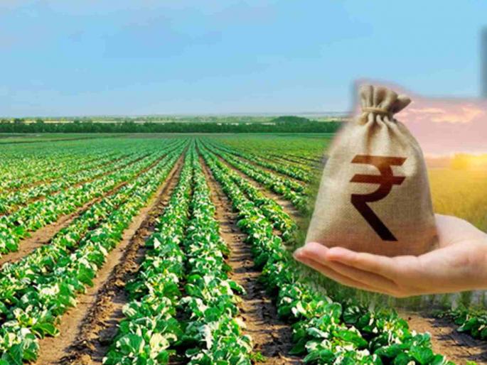 Loan waiver of Rs 964 crore; Still burden on the land; Two years have passed since the Bhu-Vikas Bank loan waiver | ९६४ कोटींची कर्जमाफी; तरीही उताऱ्यावर बोजाच; भू-विकास बँक कर्जमाफीला दोन वर्षे उलटली