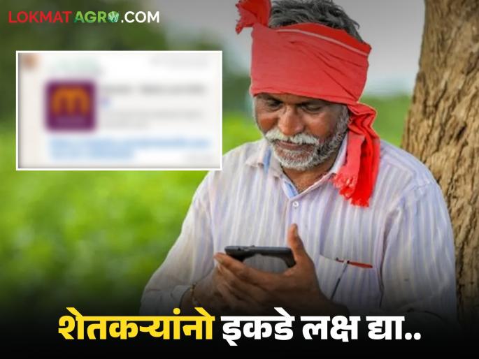 Latest News MahaDBT holders urged to be careful of fraudulent links on whatsapp | शेतकऱ्यांनो, तुमच्याही व्हाट्सअँपवर 'ती' लिंक आलीय का? लिंक ओपन करू नका, अन्यथा... Latest News MahaDBT holders urged to be careful of fraudulent links on whatsapp | शेतकऱ्यांनो, तुमच्याही व्हाट्सअँपवर 'ती' लिंक आलीय का? लिंक ओपन करू नका, अन्यथा...