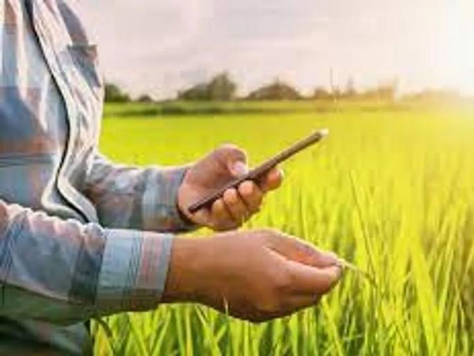 difficult for farmers to get compensation difficulties in e-crop registration | ...अन्यथा शेतकऱ्यांना भरपाई मिळणे मुश्कील, ई-पीक नोंदणीत अडचणीच अडचणी difficult for farmers to get compensation difficulties in e-crop registration | ...अन्यथा शेतकऱ्यांना भरपाई मिळणे मुश्कील, ई-पीक नोंदणीत अडचणीच अडचणी