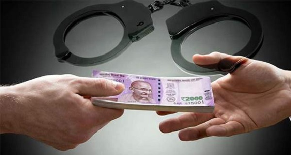 Agriculture, registration in the name of poultry, business of stock market | फसवणुकीची साखळी : शेती, पोल्ट्रीच्या नावावर नोंदणी, धंदा शेअर मार्केटचा Agriculture, registration in the name of poultry, business of stock market | फसवणुकीची साखळी : शेती, पोल्ट्रीच्या नावावर नोंदणी, धंदा शेअर मार्केटचा