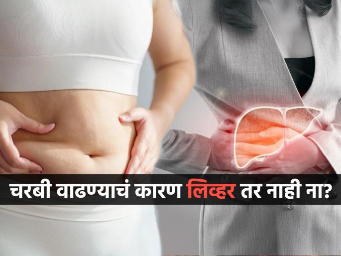 Liver function can make you weight loss harder so detox your liver before losing weight | ट्राय करूनही चरबी कमी होत नसेल तर लिव्हर असू शकतं कारण, वाचा आधी लिव्हर कसं कराल डिटॉक्स