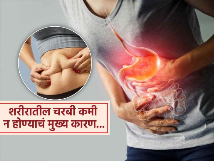 Ayurveda expert told right time to eat after having one meal otherwise it causes worlds biggest disease | लठ्ठपणा कमी न होण्याला कारणीभूत असते 'ही' समस्या, कधीच घटणार नाही हात-पाय-मांड्यांवरील चरबी!
