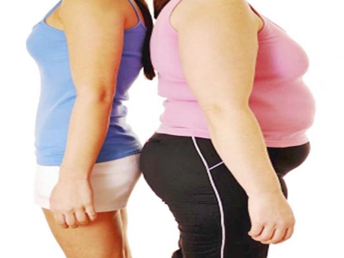 Thin Fat | थिन फॅट Thin Fat | थिन फॅट