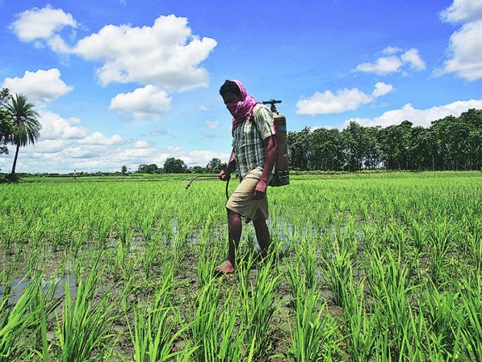 fir registered against two vendors with pesticide company in the farm department's action at Mahur | माहूर येथे कृषि विभागाच्या कारवाईत कीटकनाशक कंपनीसह दोन विक्रेत्यावर गुन्हे
