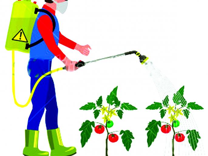 Bogus pesticide detoxification | बोगस कीटकनाशकांचा विषारी विळखा Bogus pesticide detoxification | बोगस कीटकनाशकांचा विषारी विळखा