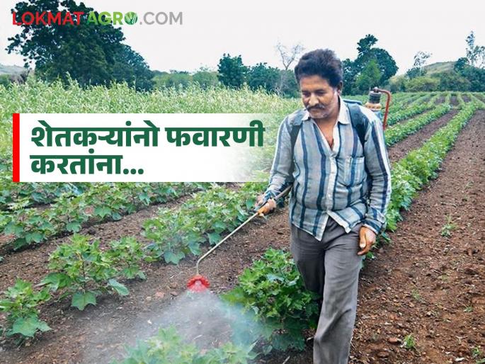 latest News agriculture News Do Not spray on an empty stomach while spraying in farm Read in detail | शेतकऱ्यांनो उपाशीपोटी फवारणी केल्यास विषबाधा होऊ शकते, जाणून घ्या कारण