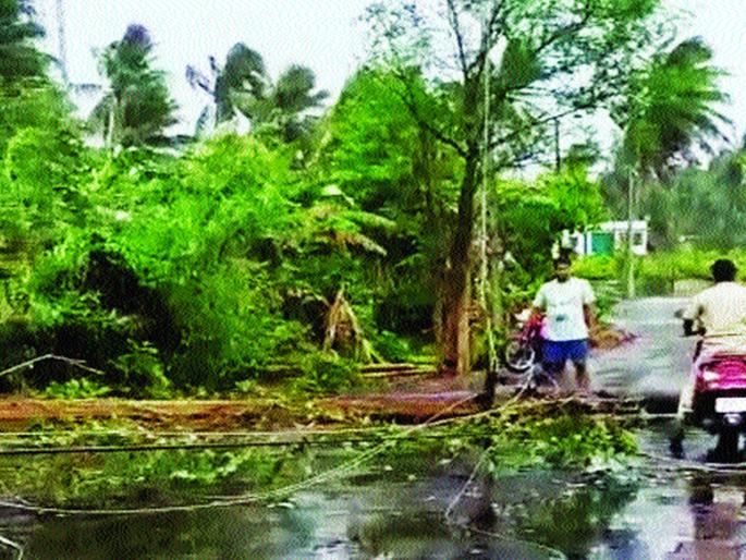 Heavy rains in Vasai-Virar along with Palghar | पालघरसह वसई-विरारमध्ये मुसळधार पावसाचे थैमान Heavy rains in Vasai-Virar along with Palghar | पालघरसह वसई-विरारमध्ये मुसळधार पावसाचे थैमान