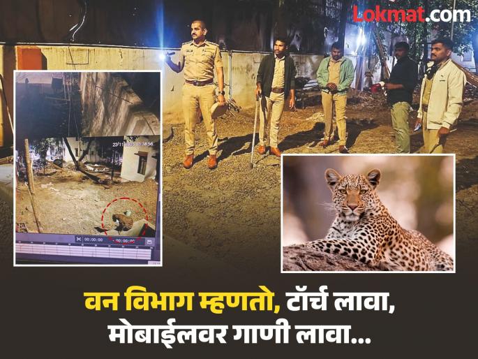 Leopard's 'morning walk' in Pune's Aundh; Failure to search, citizens worried as it entered densely populated areas | पुण्याच्या औंधमध्ये बिबट्याचा ‘माॅर्निंग वाॅक’; शोध घेण्यात अपयश, दाटवस्तीत शिरल्याने नागरिकांमध्ये चिंता