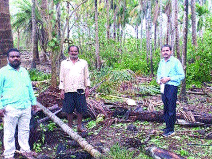 Fifty-seven thousand hectares of farmland | पावणेसात हजार हेक्टर शेतीला फटका