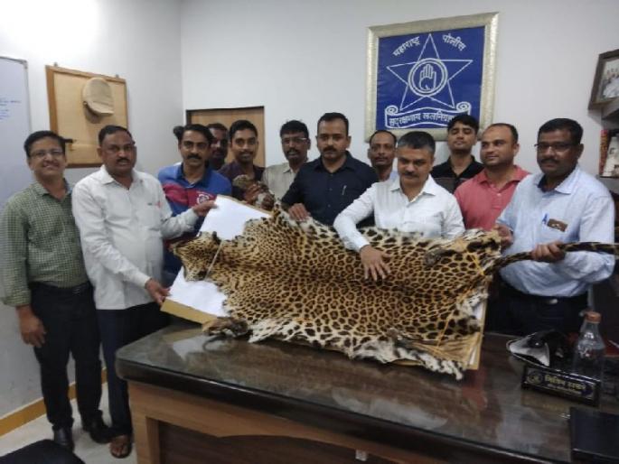 leopard skin sellers arrested by crime branch | बिबट्याचे कातडे विक्रीसाठी आलेली दुकली गजाआड leopard skin sellers arrested by crime branch | बिबट्याचे कातडे विक्रीसाठी आलेली दुकली गजाआड