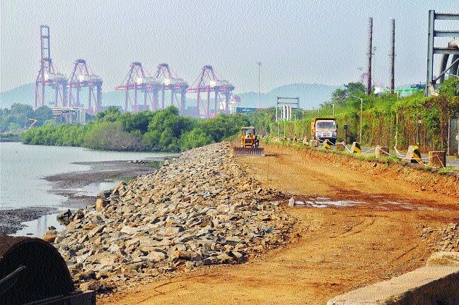 Measles slaughter for JNPT expansion | जेएनपीटीच्या विस्तारासाठी खारफुटीची कत्तल Measles slaughter for JNPT expansion | जेएनपीटीच्या विस्तारासाठी खारफुटीची कत्तल