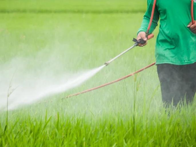Farmer dies of spray poisoning; Order of compensation based on post-mortem | फवारणीच्या विषबाधेने शेतकऱ्याचा मृत्यू; पोस्टमार्टमच्या आधारे भरपाईचा आदेश Farmer dies of spray poisoning; Order of compensation based on post-mortem | फवारणीच्या विषबाधेने शेतकऱ्याचा मृत्यू; पोस्टमार्टमच्या आधारे भरपाईचा आदेश