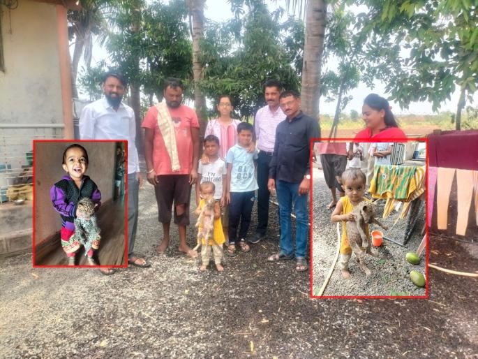 Leopard: The kittens played with the leopard calves, 5 days later and forest officer came at home | Leopard: मांजरीचे पिल्लू समजत बिबट्याच्या बछडांना खेळवले, 5 दिवसांनी झाला उलगडा