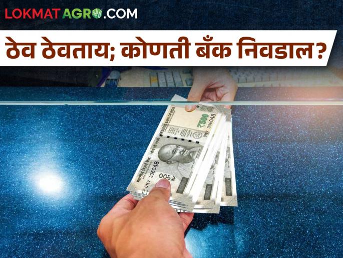 Which bank to choose for fixed deposit or loan? | शेतकऱ्यांनो फिक्स्ड डिपॉझिट किंवा कर्ज काढण्यासाठी कोणती बँक निवडाल? Which bank to choose for fixed deposit or loan? | शेतकऱ्यांनो फिक्स्ड डिपॉझिट किंवा कर्ज काढण्यासाठी कोणती बँक निवडाल?