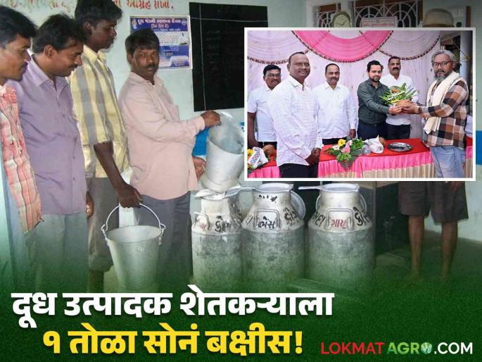 milk producer farmer sangali get 10 gram gold awarded for the highest milk production | सांगलीच्या उच्चशिक्षित तरूणांचा नादच खुळा! सर्वाधिक दूध उत्पादनासाठी मिळालं १ तोळा सोन्याचं बक्षीस milk producer farmer sangali get 10 gram gold awarded for the highest milk production | सांगलीच्या उच्चशिक्षित तरूणांचा नादच खुळा! सर्वाधिक दूध उत्पादनासाठी मिळालं १ तोळा सोन्याचं बक्षीस