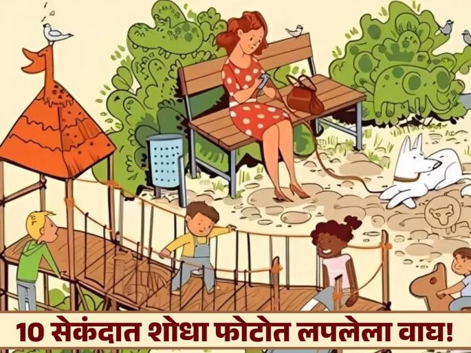 Optical illusion : find the hidden tiger in this park scene in 10 seconds | चॅलेंज! जीनिअस लोकच शोधू शकतील 'या' फोटोत लपलेला वाघ, तुम्हीही ट्राय करा! Optical illusion : find the hidden tiger in this park scene in 10 seconds | चॅलेंज! जीनिअस लोकच शोधू शकतील 'या' फोटोत लपलेला वाघ, तुम्हीही ट्राय करा!