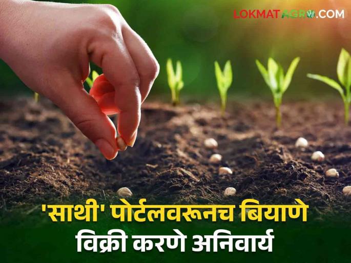 Seed Seeling Sellers now need SATHI portal to sell seeds maharashtra agriculture department | Seed Seeling : बियाणे विक्री करण्यासाठी विक्रेत्यांना आता 'साथी' पोर्टल आवश्यक Seed Seeling Sellers now need SATHI portal to sell seeds maharashtra agriculture department | Seed Seeling : बियाणे विक्री करण्यासाठी विक्रेत्यांना आता 'साथी' पोर्टल आवश्यक