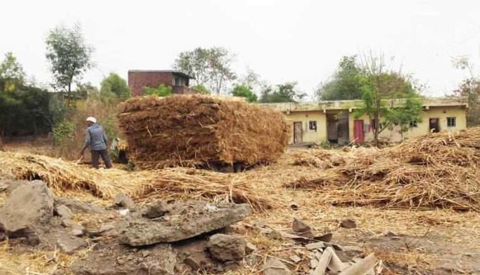 Fodder transport out of Washim district is prohibited! | वाशिम जिल्ह्याबाहेर चारा घेवून जाण्यावर बंदी !