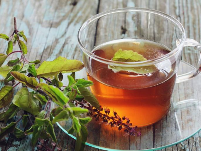 IIT delhi study coronavirus haritaki and tea extracts may act as potential therapeutic options against covid 19 | आता हर्डा आणि चहाने होणार कोरोना विषाणूंपासून बचाव; आयआयटी तज्ज्ञांचा संशोधनातून खुलासा IIT delhi study coronavirus haritaki and tea extracts may act as potential therapeutic options against covid 19 | आता हर्डा आणि चहाने होणार कोरोना विषाणूंपासून बचाव; आयआयटी तज्ज्ञांचा संशोधनातून खुलासा