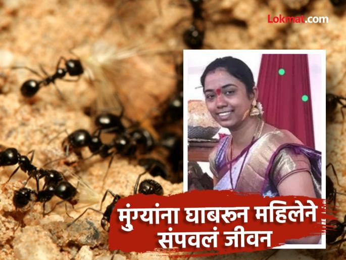 fear of ants linked to vitamin deficiency understanding rare phobia called myrmecophobia | धक्कादायक! मुंग्यांच्या भीतीने गमावला जीव, कोणत्या व्हिटॅमिनच्या कमतरतेमुळे हे होतं? fear of ants linked to vitamin deficiency understanding rare phobia called myrmecophobia | धक्कादायक! मुंग्यांच्या भीतीने गमावला जीव, कोणत्या व्हिटॅमिनच्या कमतरतेमुळे हे होतं?