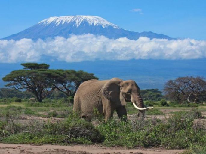 African safaris should be done for these five reasons. | या पाच कारणांसाठी आफ्रिकन सफारी करायलाच हवी! African safaris should be done for these five reasons. | या पाच कारणांसाठी आफ्रिकन सफारी करायलाच हवी!