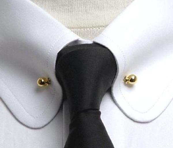 collars colour say manythings. Very intresting history behind this! | कॉलरचे कलर काय सांगतात?