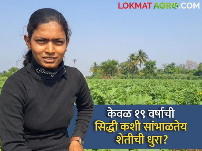 The story of the farmer's daughter siddhi chaudhari naygaon maval who lead farming business attending college | गाथा कृषीकन्येची : १९ वर्षाची सिद्धी सांभाळतेय शेतीची धुरा; स्वतः टेम्पो चालवून माल पोहोचवते मार्केटला The story of the farmer's daughter siddhi chaudhari naygaon maval who lead farming business attending college | गाथा कृषीकन्येची : १९ वर्षाची सिद्धी सांभाळतेय शेतीची धुरा; स्वतः टेम्पो चालवून माल पोहोचवते मार्केटला