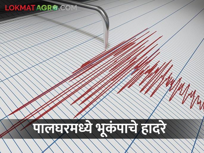 Earthquake tremors in Talasari Dahanu taluk in Palghar, panic among citizens | पालघरमधील तलासरी,डहाणू तालुक्यात भूकंपाचे हादरे, नागरिकांमध्ये घबराट Earthquake tremors in Talasari Dahanu taluk in Palghar, panic among citizens | पालघरमधील तलासरी,डहाणू तालुक्यात भूकंपाचे हादरे, नागरिकांमध्ये घबराट
