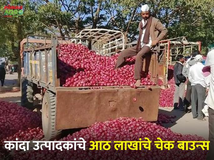 Varieties in Onion Market Committee; A check of eight lakhs given by the merchant bounced | कांदा बाजार समितीमधील प्रकार; व्यापाऱ्याने दिलेले आठ लाखांचे चेक झाले बाउन्स Varieties in Onion Market Committee; A check of eight lakhs given by the merchant bounced | कांदा बाजार समितीमधील प्रकार; व्यापाऱ्याने दिलेले आठ लाखांचे चेक झाले बाउन्स