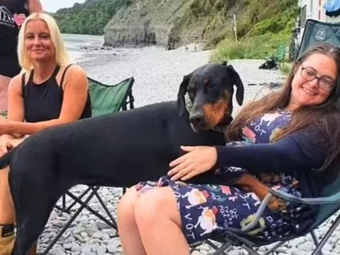 Pet dog saved women life finds matching kidney doner in one of 2.2 million | किडनी फेल झाल्याने मृत्यूच्या दारात होती महिला, डॉक्टरही हरले; पाळीव श्वानाने वाचवला तिचा जीव Pet dog saved women life finds matching kidney doner in one of 2.2 million | किडनी फेल झाल्याने मृत्यूच्या दारात होती महिला, डॉक्टरही हरले; पाळीव श्वानाने वाचवला तिचा जीव