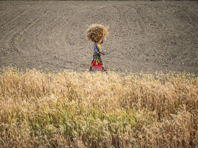Hearty! Farmer woman created herself, her own death | ह्रदयद्रावक! शेतकरी महिलेनं स्वत:च रचलं सरण, त्यातच पत्करलं मरण Hearty! Farmer woman created herself, her own death | ह्रदयद्रावक! शेतकरी महिलेनं स्वत:च रचलं सरण, त्यातच पत्करलं मरण