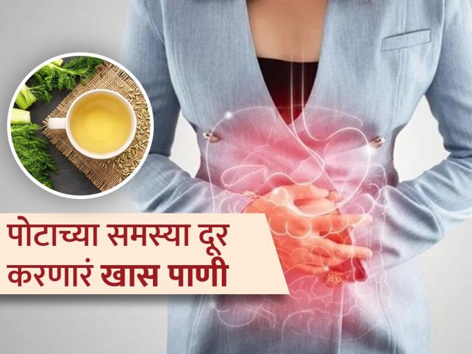 How fennel water can help you detox your body naturally | काही दिवसात गायब होईल गॅस आणि अपचनाची समस्या, रोज सकाळी प्या ‘हे’ सुगंधी पाणी